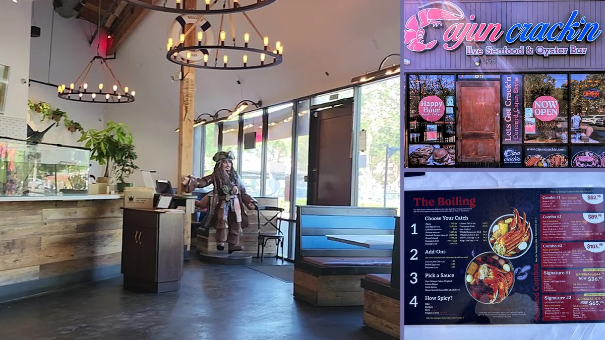 Bright restaurant seating with a relaxed dining feel.